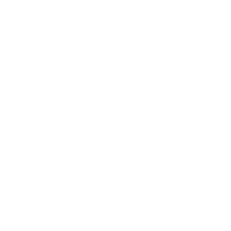Database
